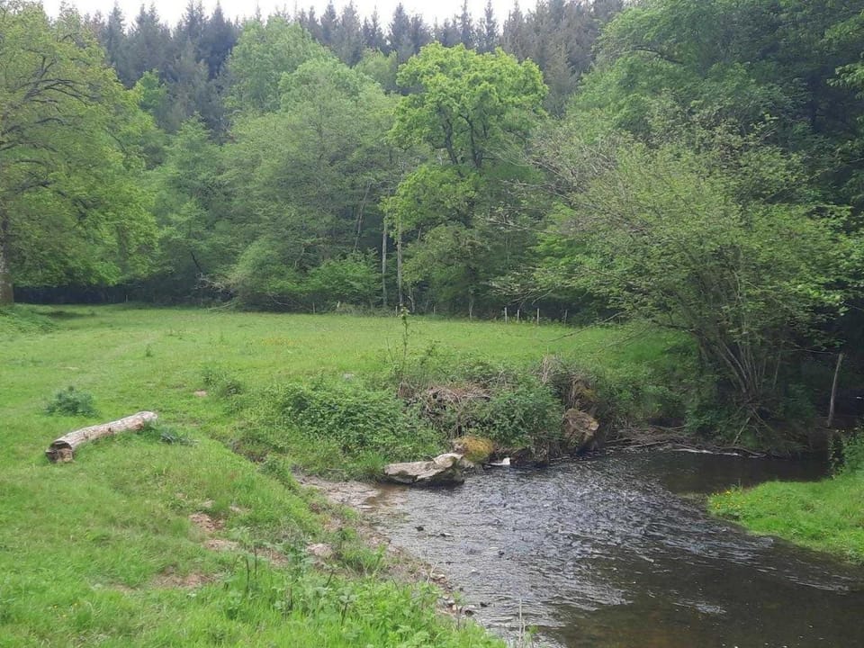 Gîte rustique avec piscine partagée et animaux admis, 15 pers - FR-1-489-465 House in Auvergne-Rhône-Alpes