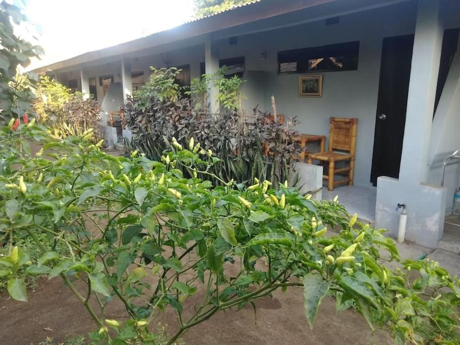 Mbah Mek Trawangan Homestay Vacation rental in Pemenang
