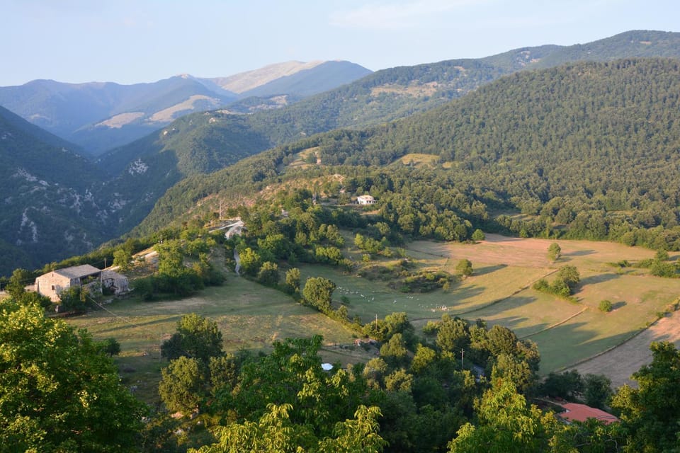 View (from property/room)