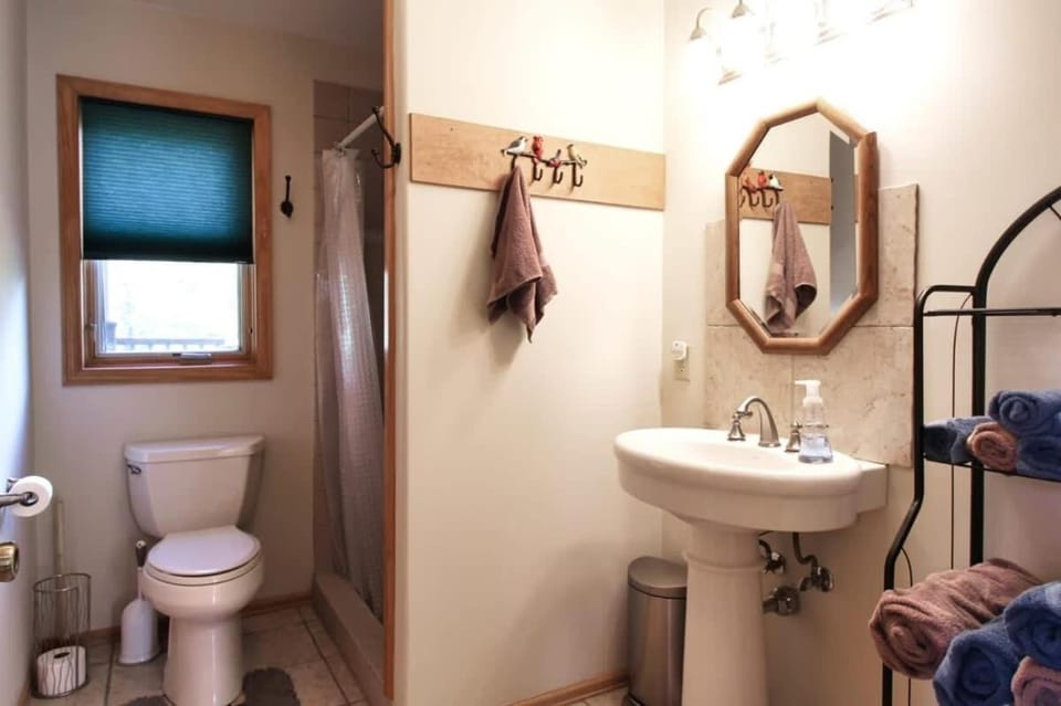 Shower, Toilet, Bathroom, towels