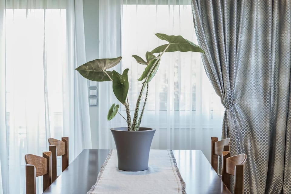 Dining area, Breakfast