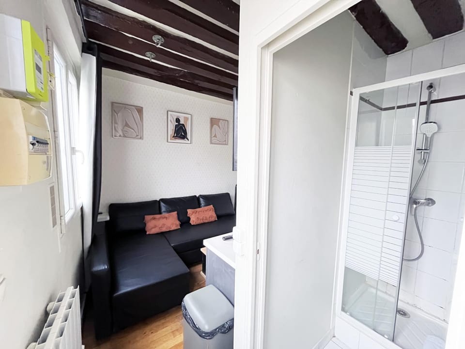 164 - Charming Studio in Center of Paris Apartment in Paris
