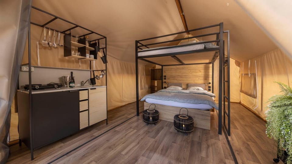 Bed, Kitchen or kitchenette, bunk bed