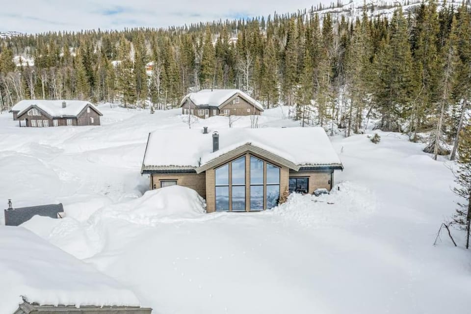 Property building, Natural landscape, Winter