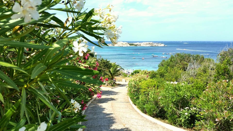 Day, Natural landscape