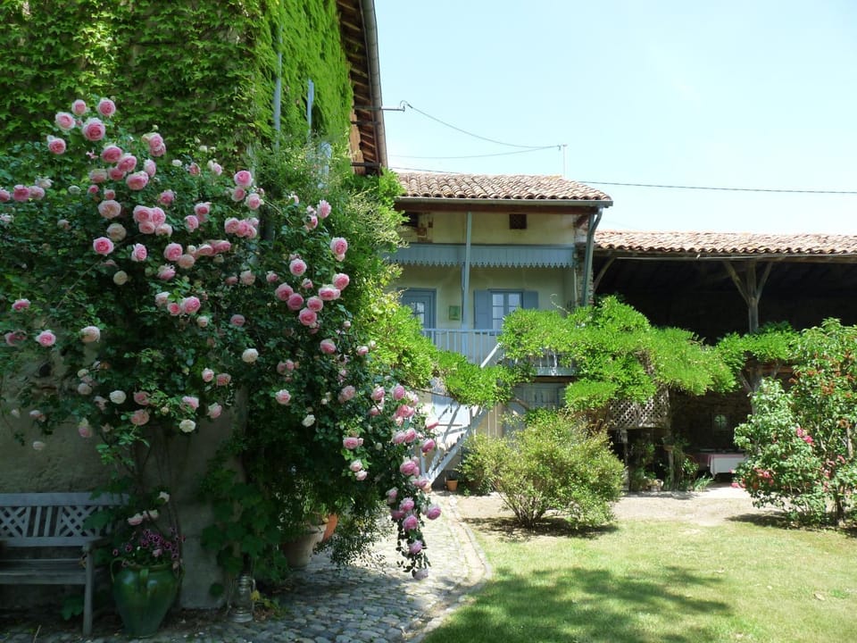 Facade/entrance, Garden