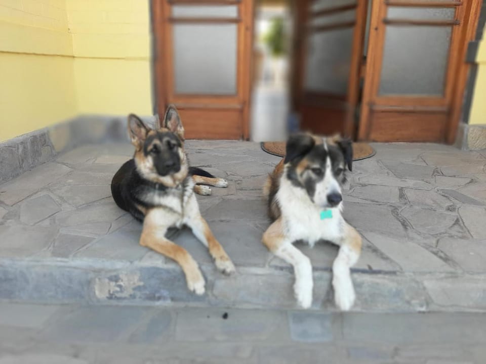 Facade/entrance, Pets