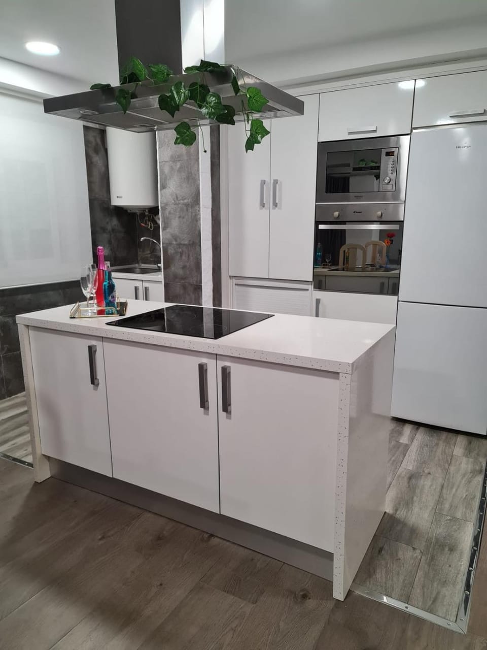 Coffee/tea facilities, Kitchen or kitchenette, minibar, pet friendly, stove, washing machine