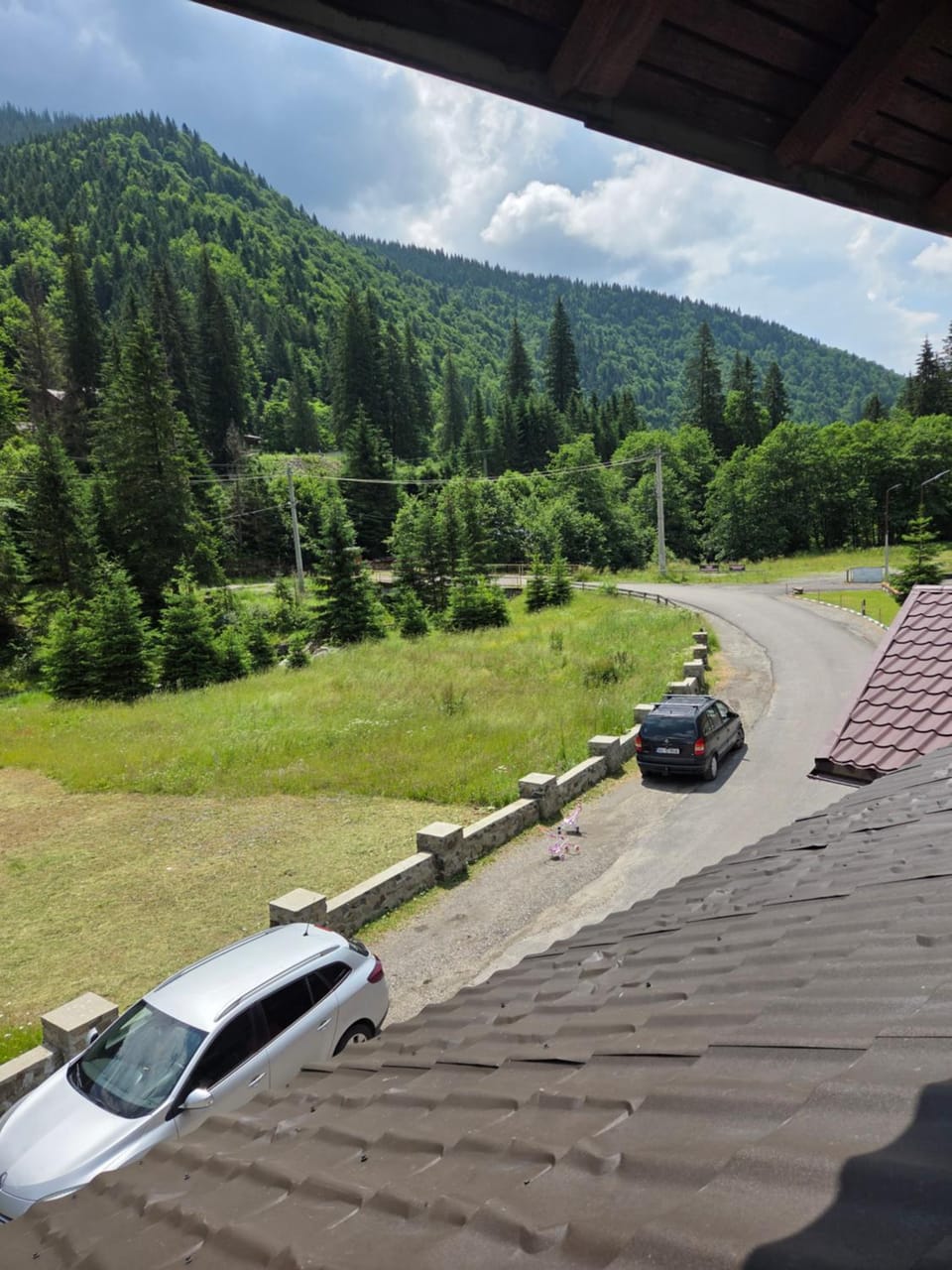 Pensiunea Flora TransFăgărășan Bed and Breakfast in Romania