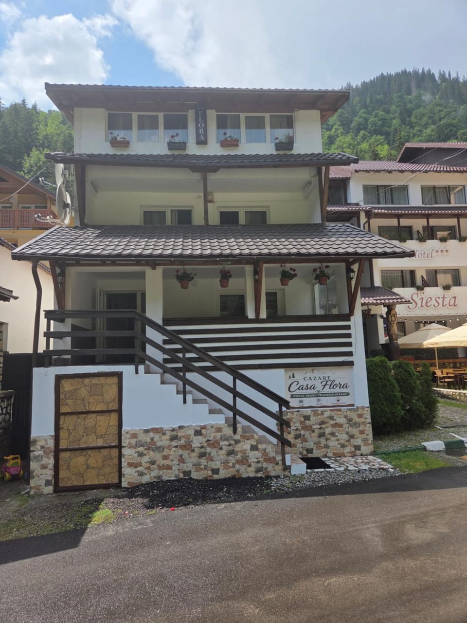 Pensiunea Flora TransFăgărășan Bed and Breakfast in Romania