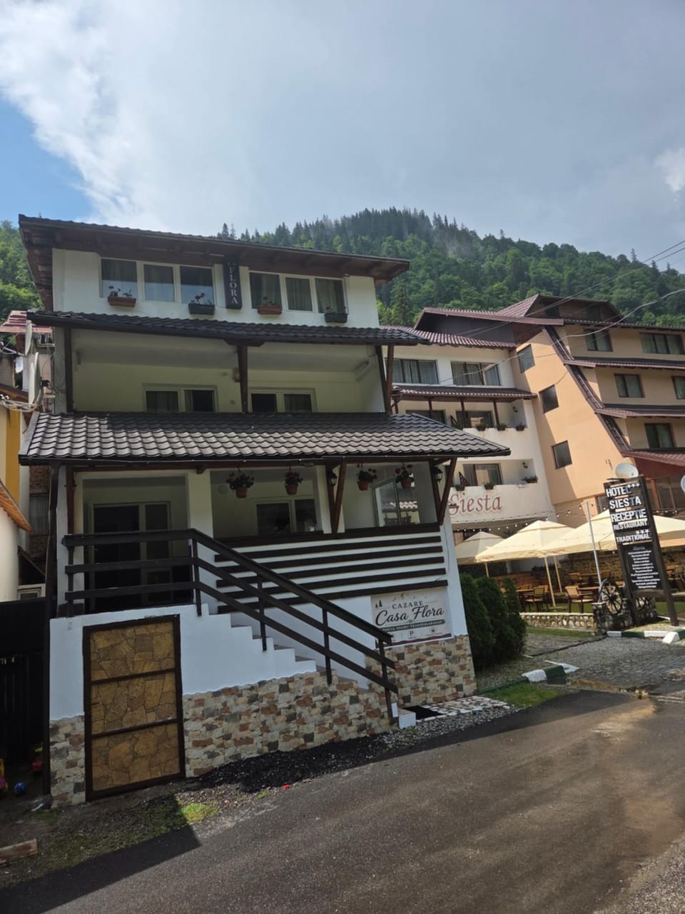 Pensiunea Flora TransFăgărășan Bed and Breakfast in Romania