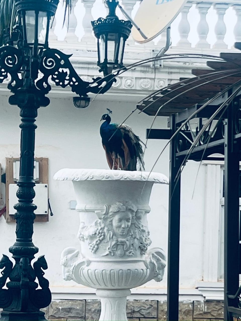 The Peacock Mansion Villa in Kumasi