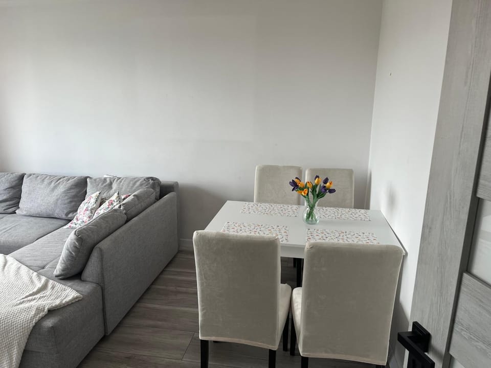 Apartament 2 pokojowy w Centrum Miasta Apartment in Poland