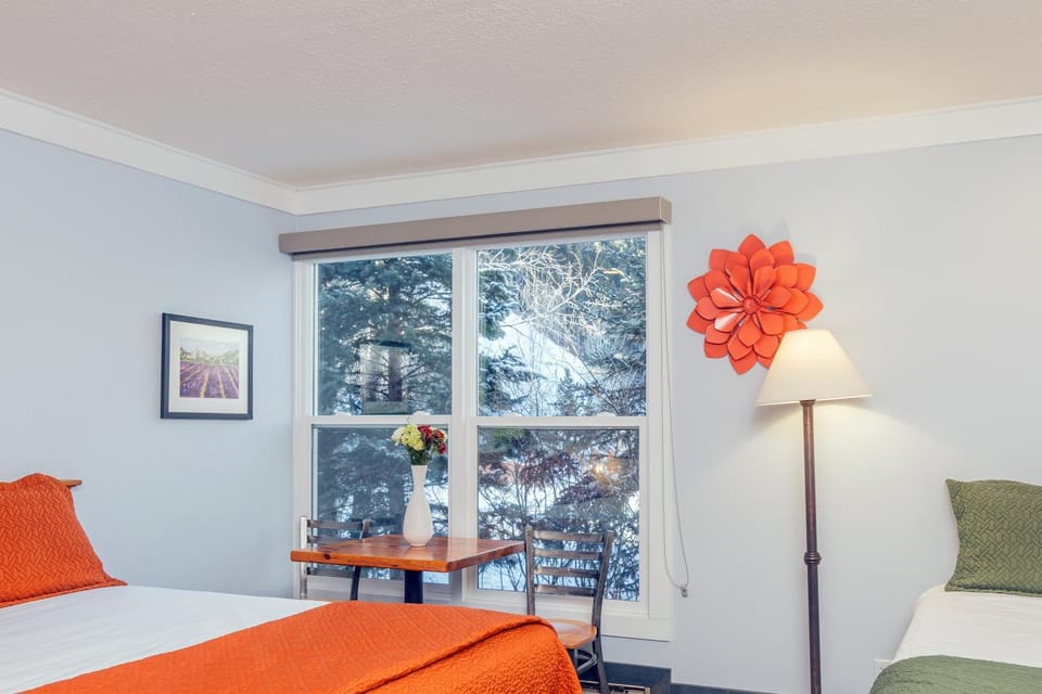 Mountainside Inn 103 by Alpine Lodging Telluride Hotel in Telluride