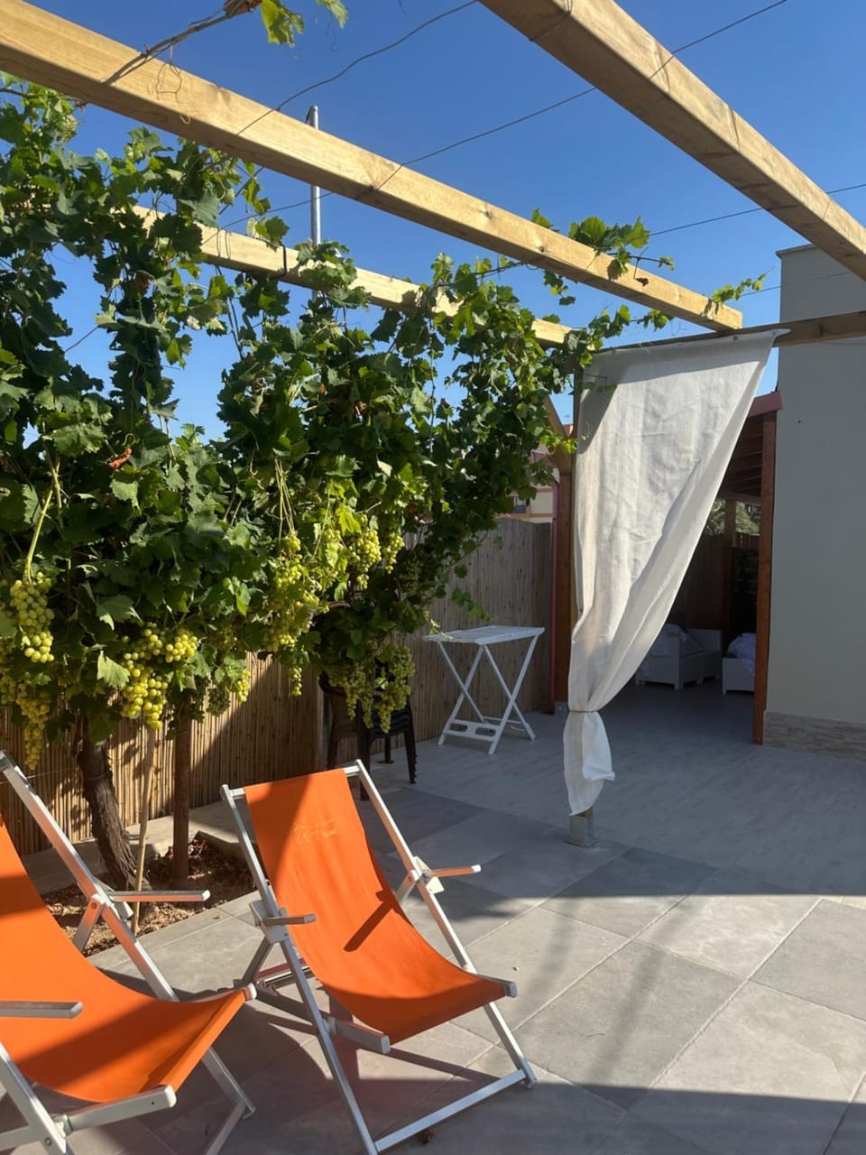 Patio, Day, Garden, sunbed