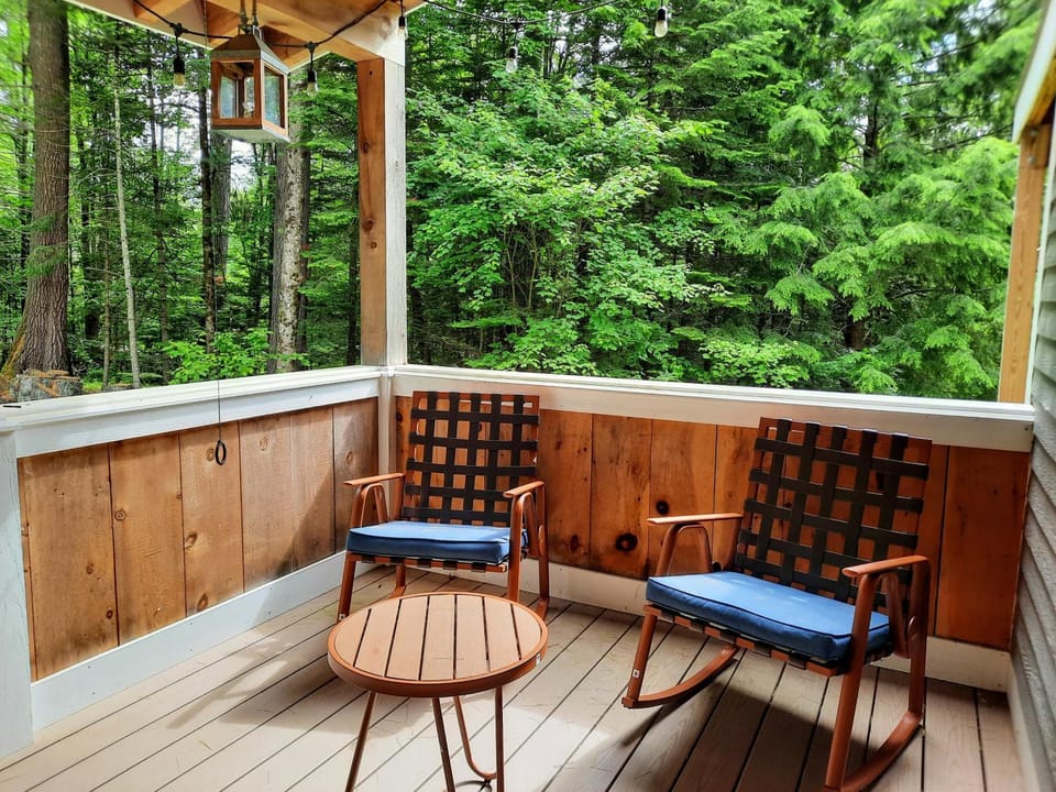157SL peaceful forest retreat House in Franconia