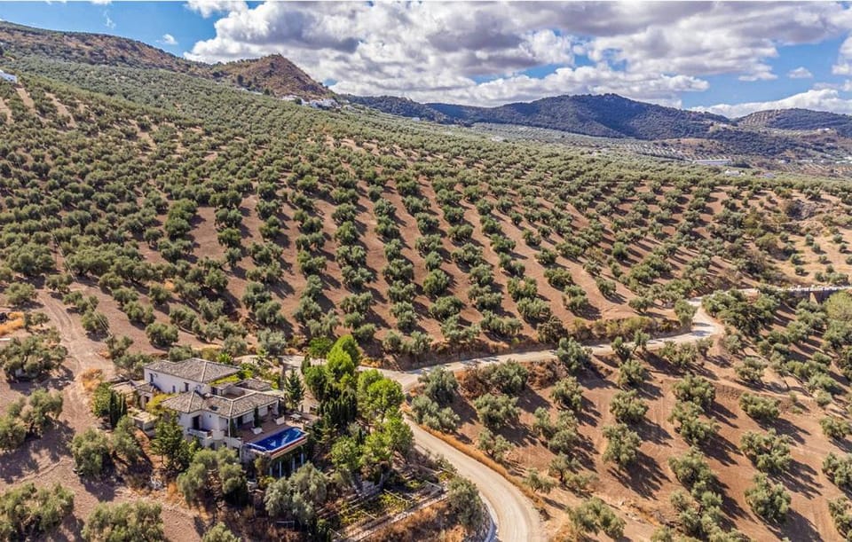 Bird's eye view, Mountain view