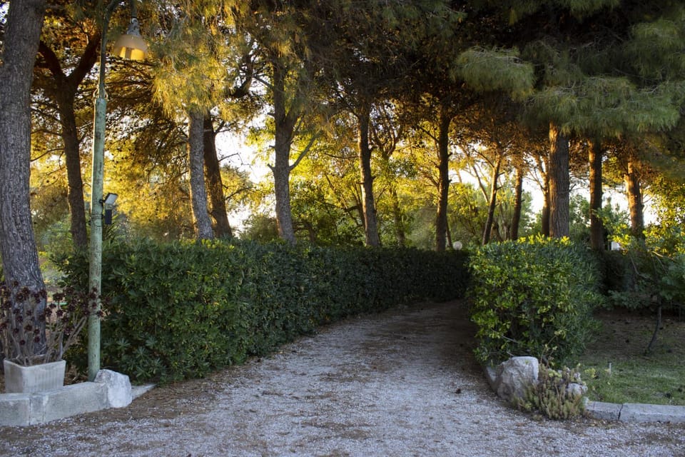 Garden, Garden view