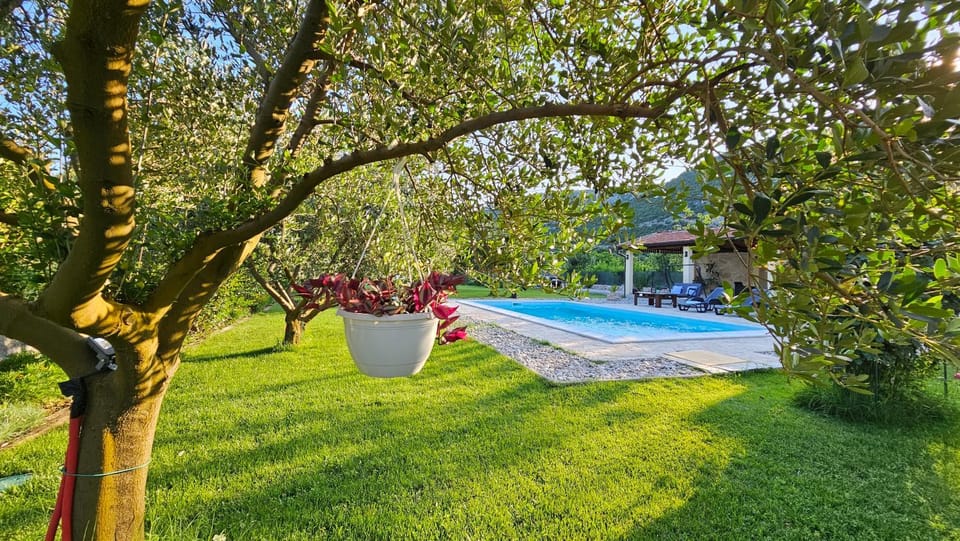 Garden, Garden view, Pool view, Swimming pool