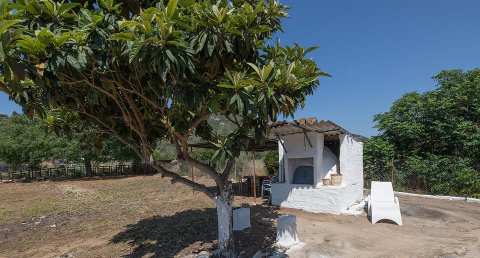 Day, Natural landscape, Garden, Garden, Garden view, Landmark view