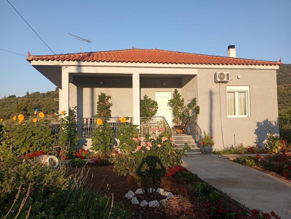 Property building, Spring, Day, Natural landscape, Summer, Garden, Garden view, Sunset, soundproof