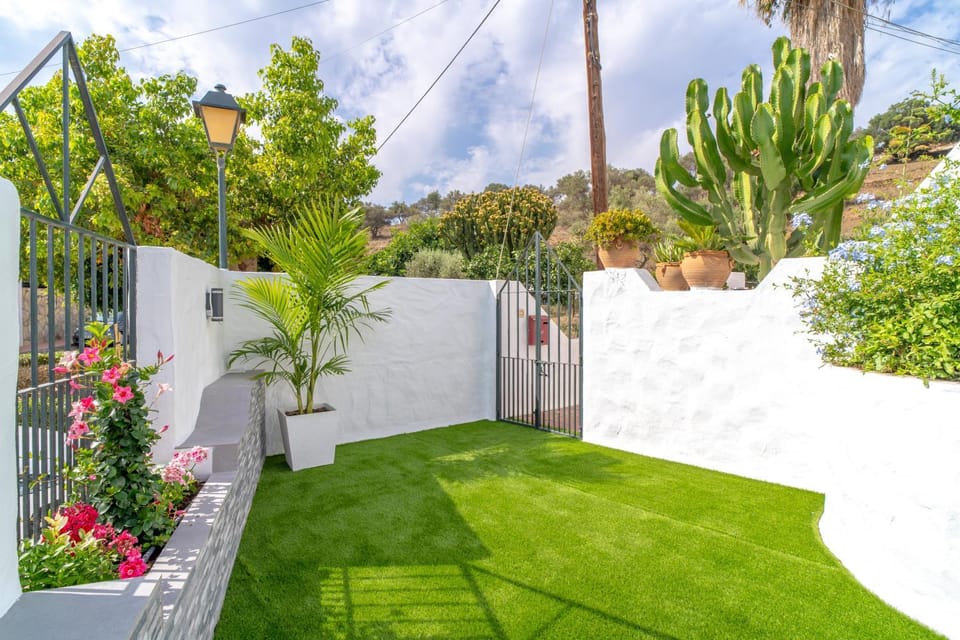 Day, Garden, Garden view