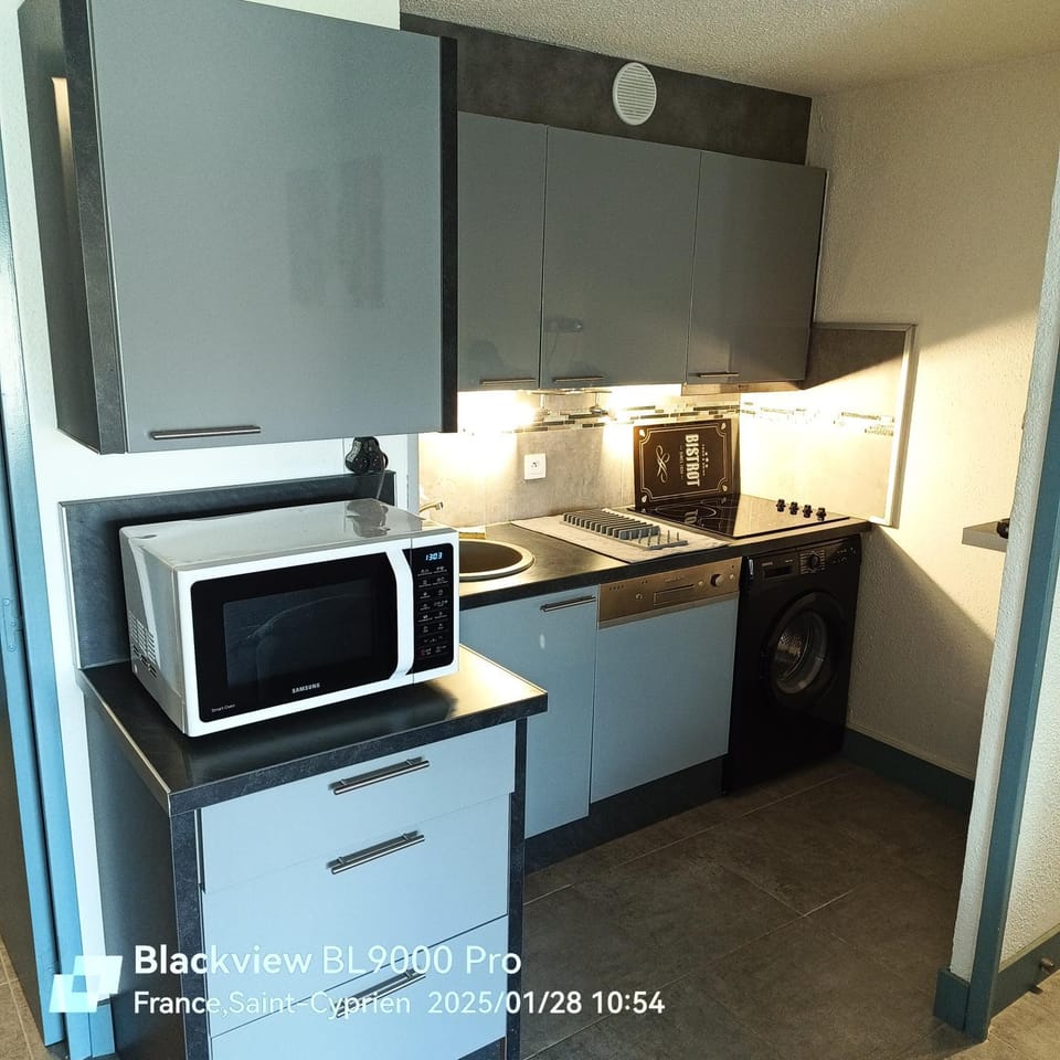 Kitchen or kitchenette, dishwasher, stove