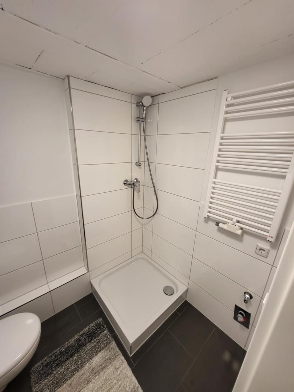 Shower, Toilet
