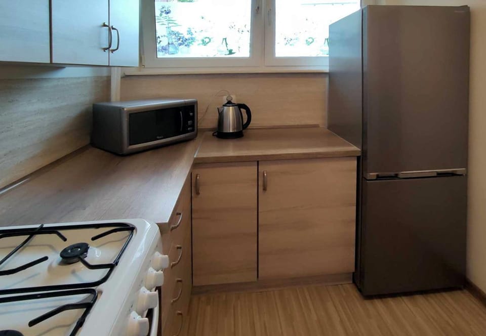 minibar, kitchen