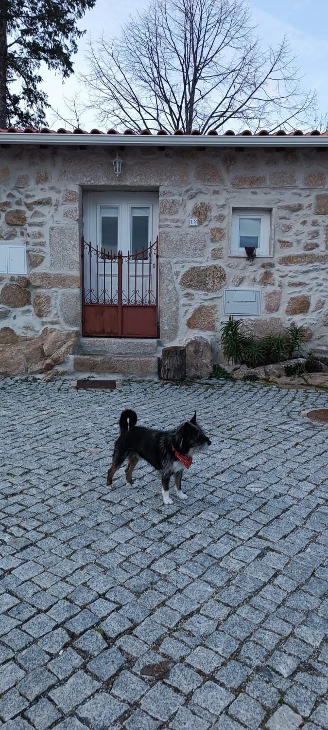 Mourisco Guest House Chalet in Vila Real District