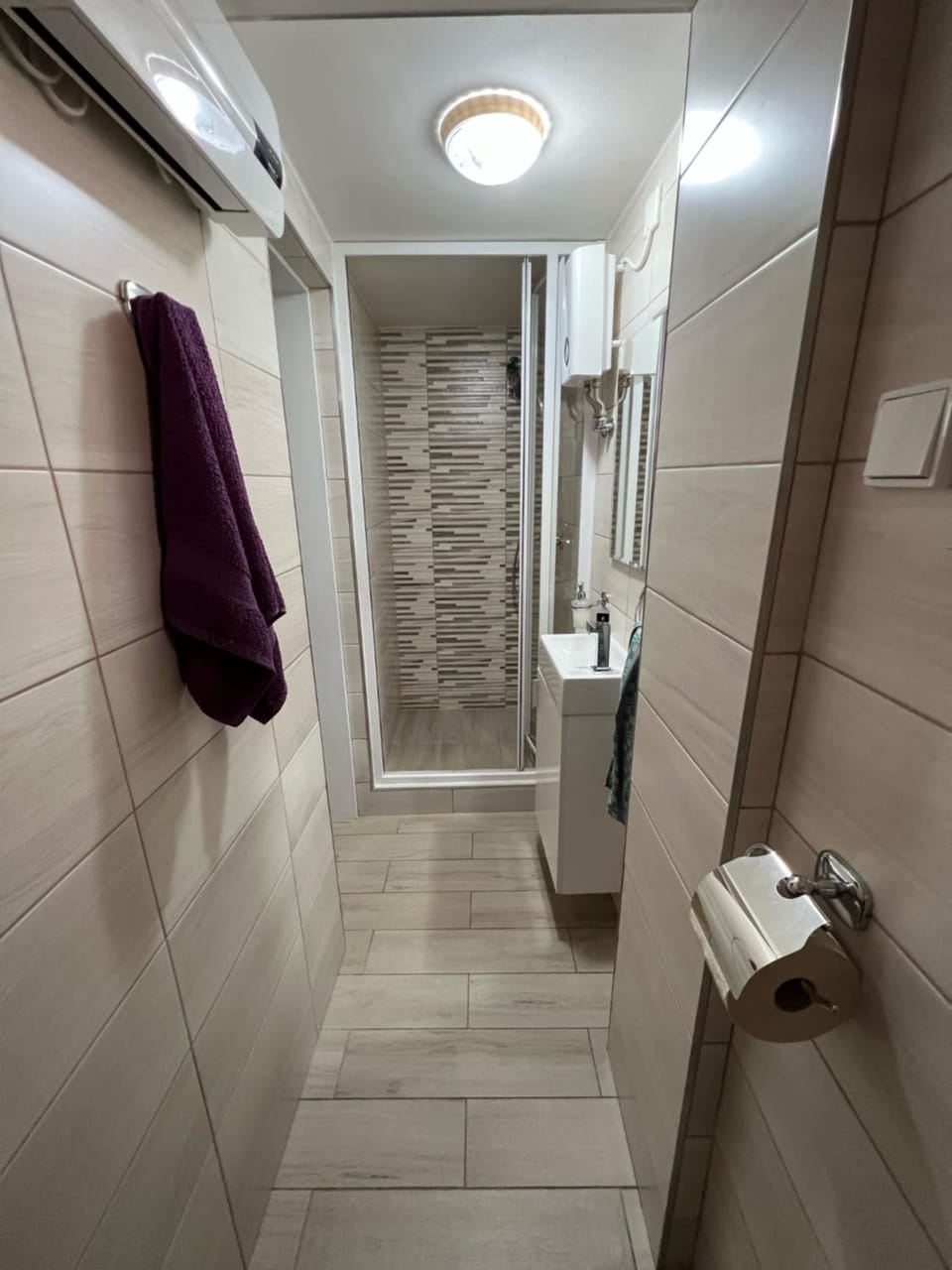 Shower, Toilet