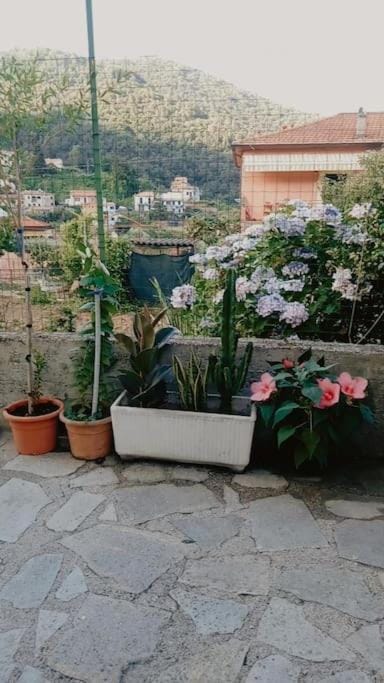 Vita Lenta House in Province of Massa and Carrara