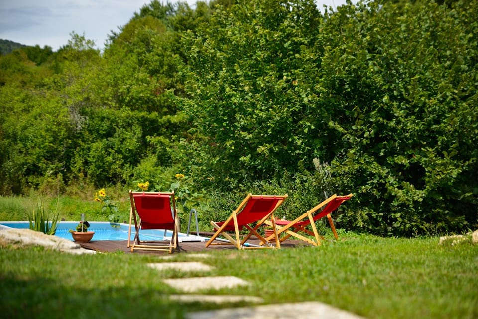 Garden view, Swimming pool, sunbed