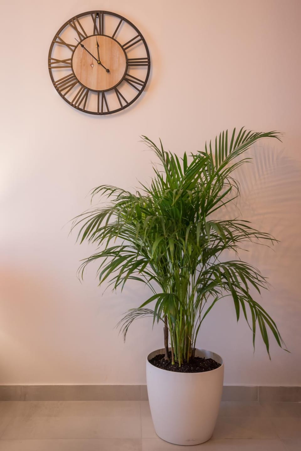Vonitsa Luxury Apartments Apartment in Peloponnese, Western Greece and the Ionian