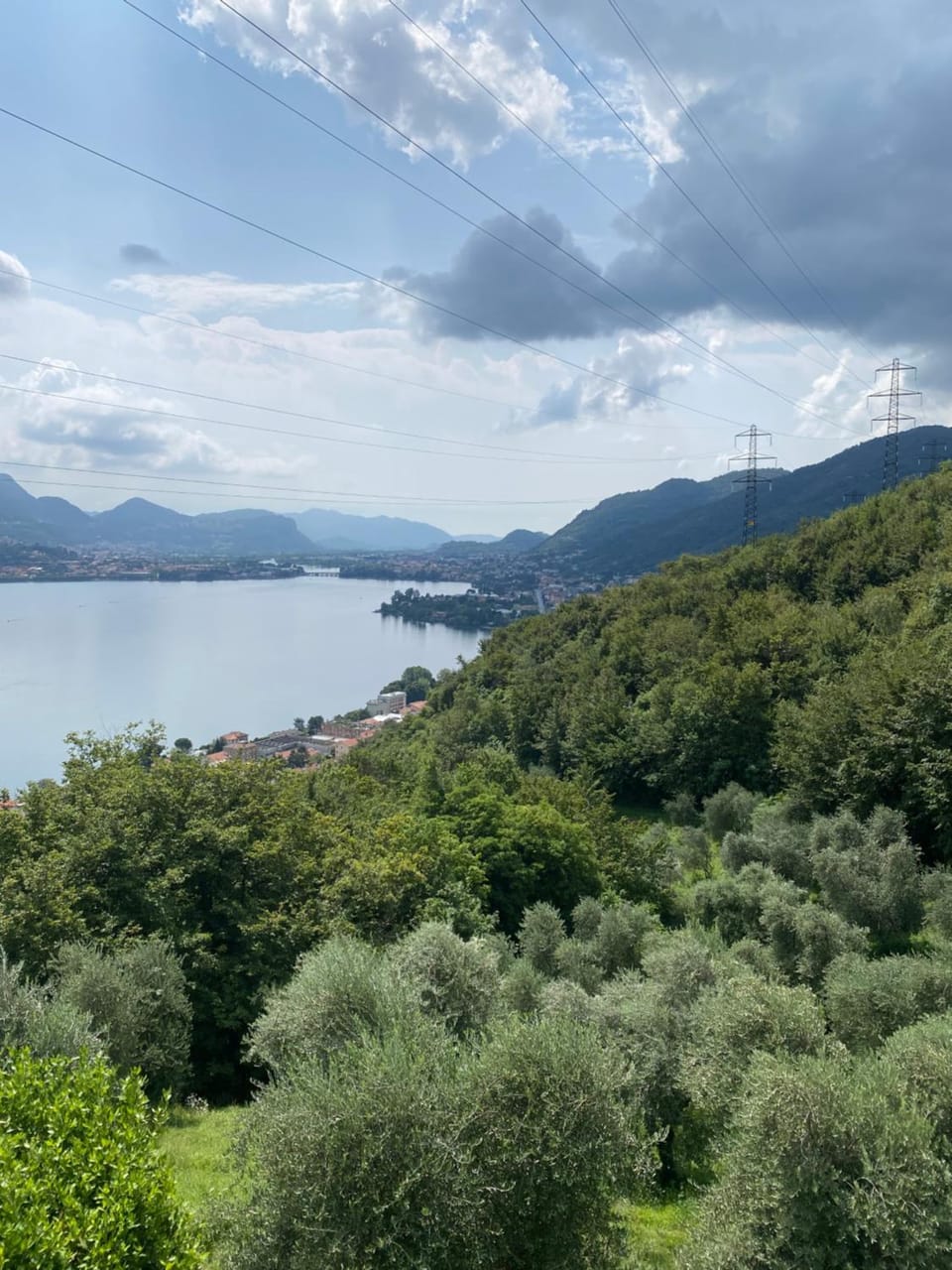 La Dimora Degli Olivi House in Province of Lecco