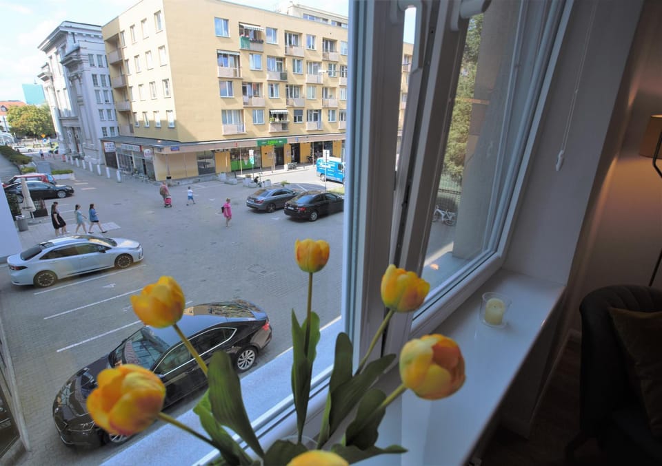 Day, Neighbourhood, City view, Street view, Location, Parking