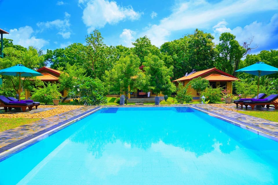 Swimming pool, Swimming pool