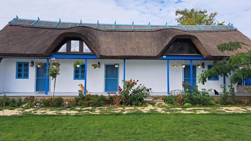 Pensiunea Casa Golovita Bed and Breakfast in Constanța County