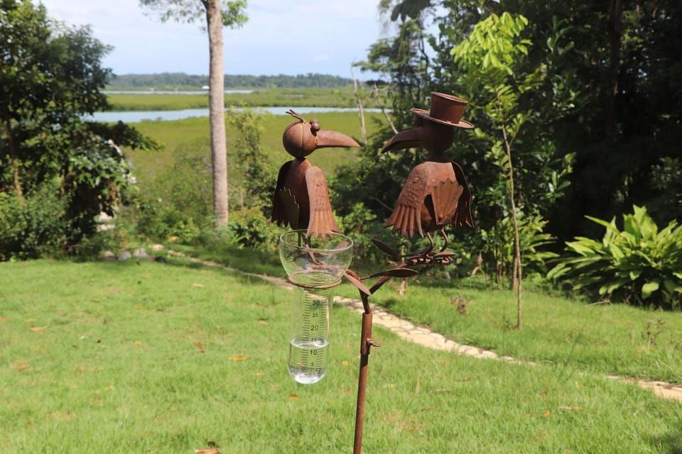 Konsenda Bocas del Toro Nature lodge in Bocas del Toro Province
