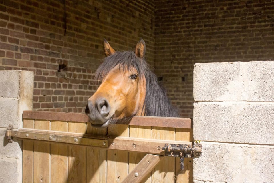 Chez mumu Bed and Breakfast in Hauts-de-France
