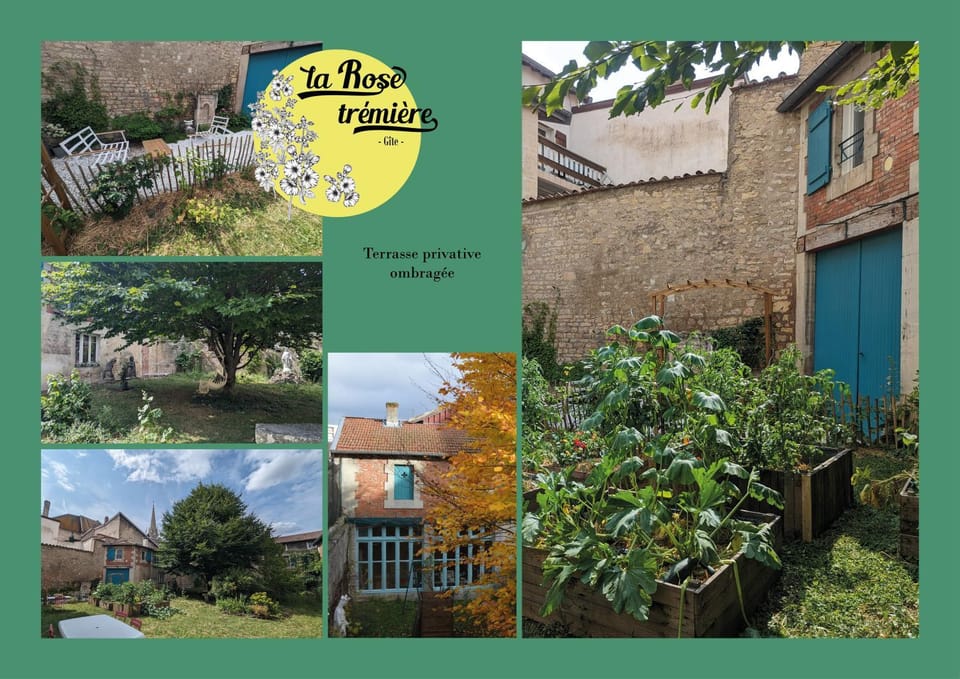Patio, Garden, Garden, Garden view