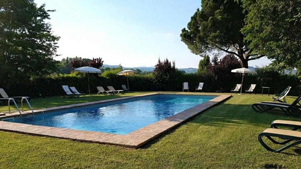 Activities, Garden, Swimming pool