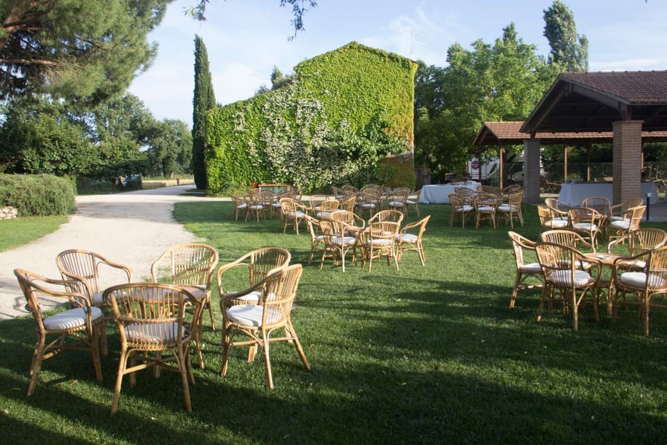 Patio, Garden