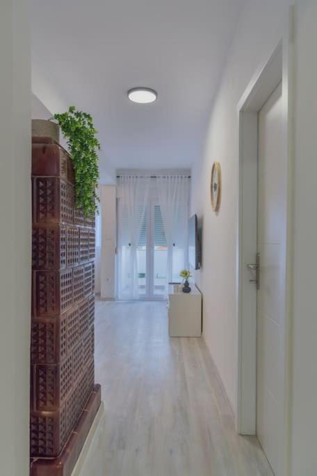 Apartman Scala Apartment in Zadar