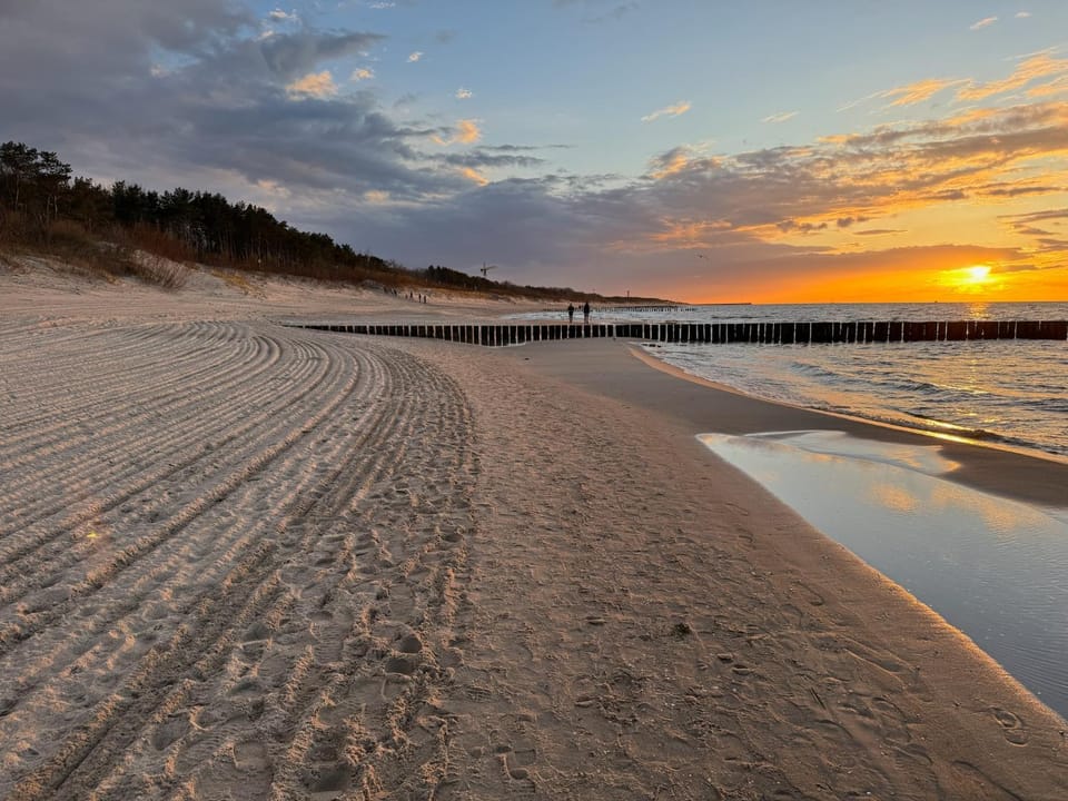 Natural landscape, Beach, Sunset