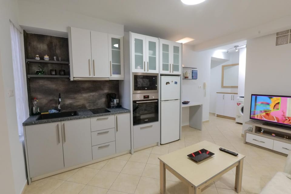TV and multimedia, Kitchen or kitchenette, dishwasher, oven, pet friendly, stove