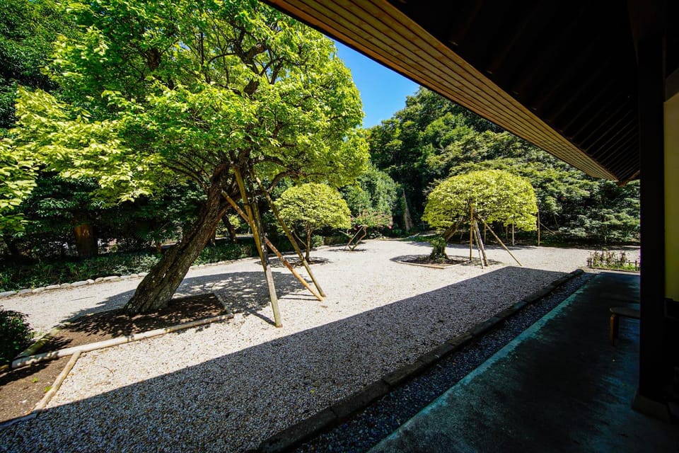 Day, Natural landscape, Garden, Garden view