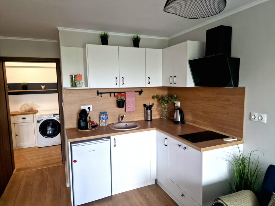Coffee/tea facilities, Kitchen or kitchenette, stove, toaster