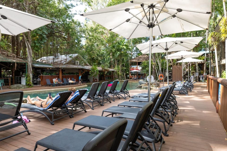 Spring, Day, Garden, Swimming pool, sunbed