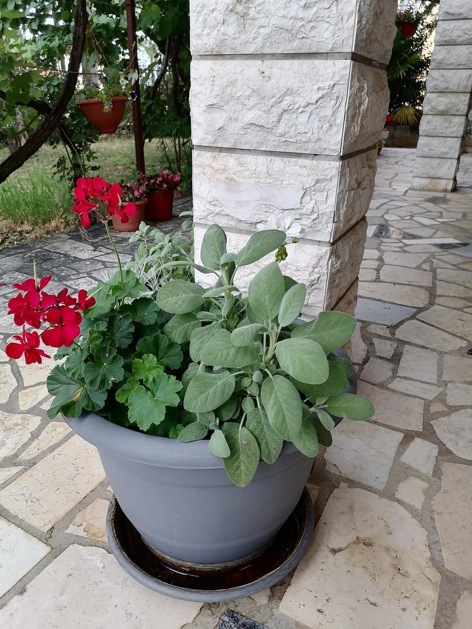 Summer 2 Apartment in Crikvenica